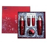 Набор для ухода за кожей с женьшенем Daandan Bit Premium Red Ginseng Skincare 3 Set